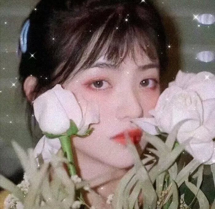 路柳墙花